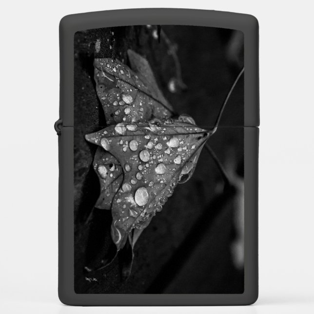Fall Showers Zippo Lighter (Front)