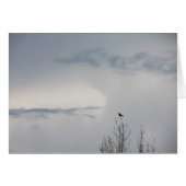 Fall Sky 2014 (Front Horizontal)