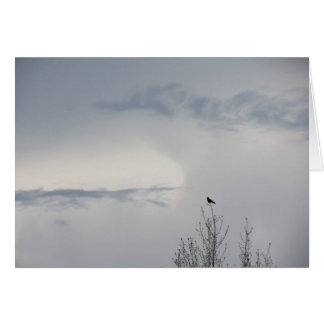 Fall Sky  2014 Cards
