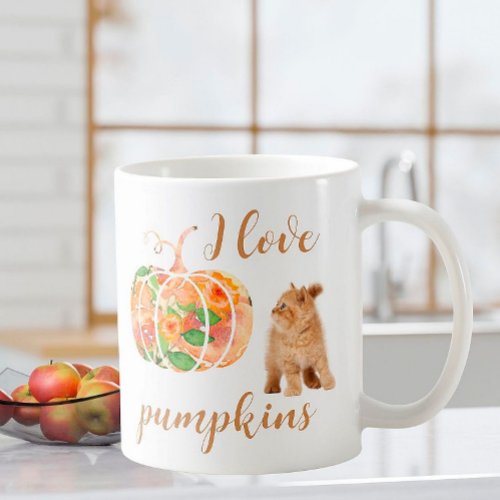 Fall Spirit I Love Pumpkins I Cat Coffee Mug