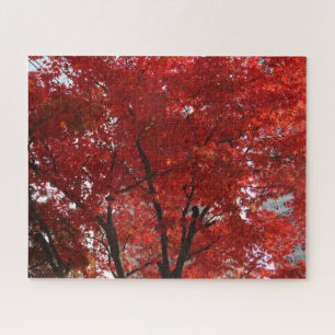 Fall Splendor of the Red Tree Leaves Jigsaw Puzzle