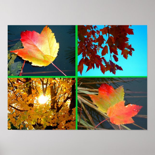 Fall Splendor Poster (Front)