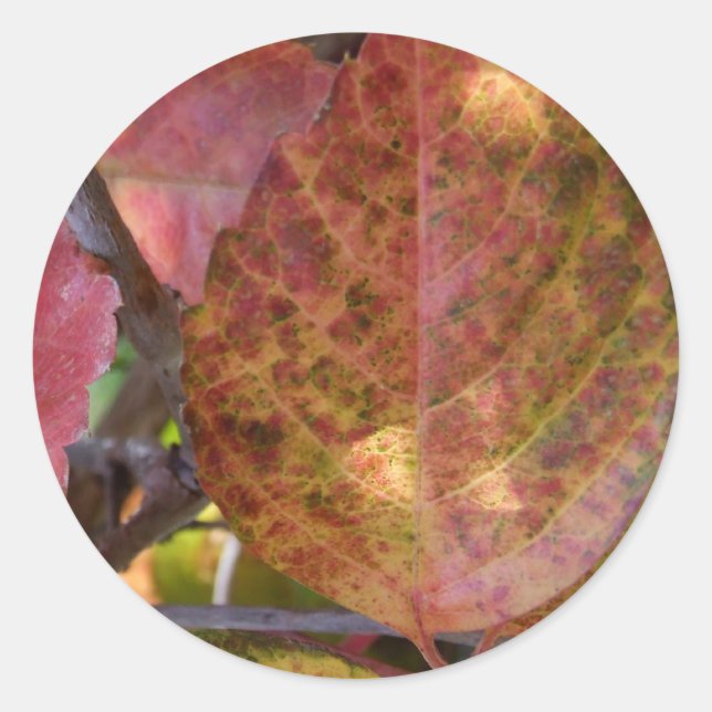 Fall Stickers (Front)