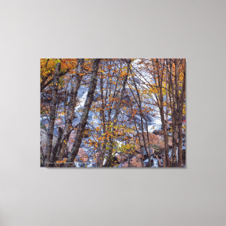 Fall Stream Canvas Print