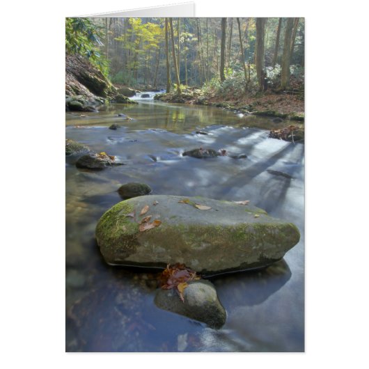 Fall Stream Cards (Front)