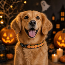 Fall Style Pumpkins on Black / Your Dogs Name