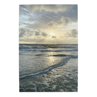Fall Summers Florida 2021 Metal Print