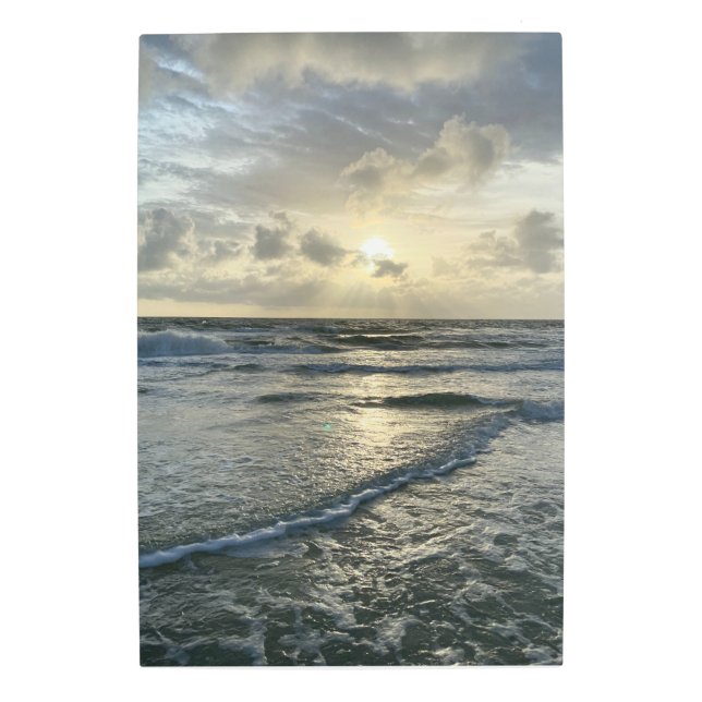 Fall Summers Florida 2021 Metal Print (Front)