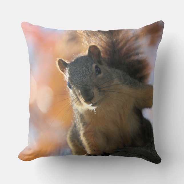 Fall sun throw pillow (Front)