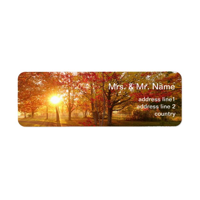 Fall sunlight through autumn trees label (Front)