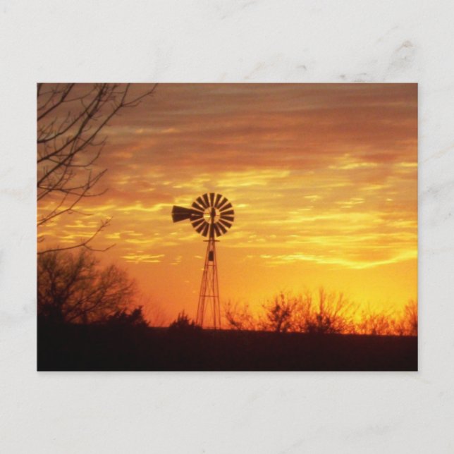 Fall Sunset Postcard (Front)