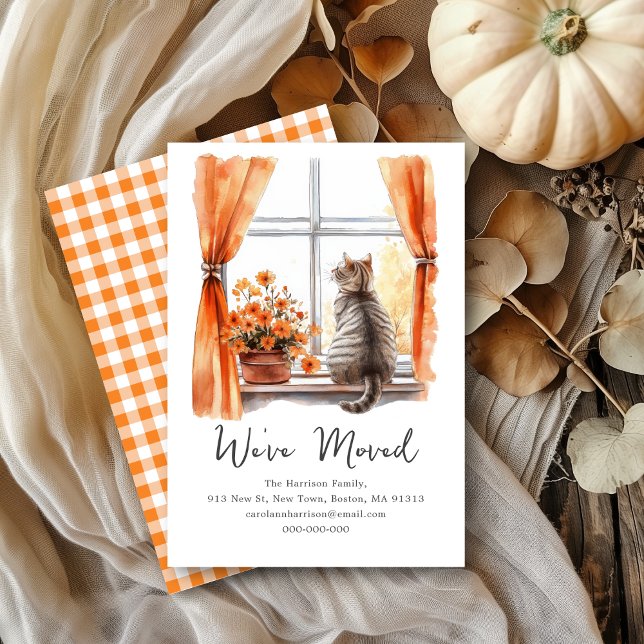 Fall Tabby Cat | We've Moved New Address  Announcement (Creator Uploaded)