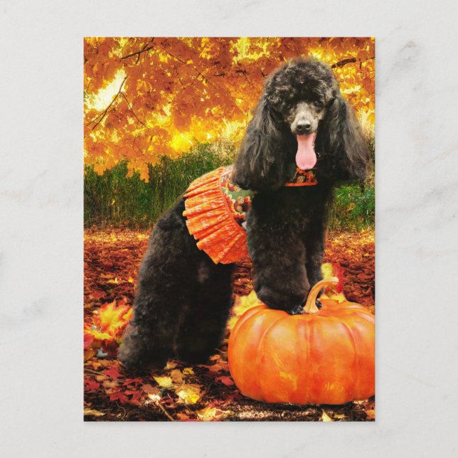 Fall Thanksgiving - Gidget - Poodle Holiday Postcard (Front)