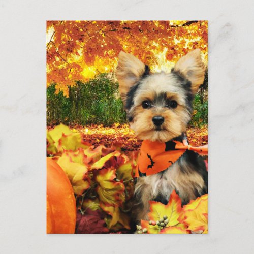 Fall Thanksgiving _ Max _ Yorkie Holiday Postcard