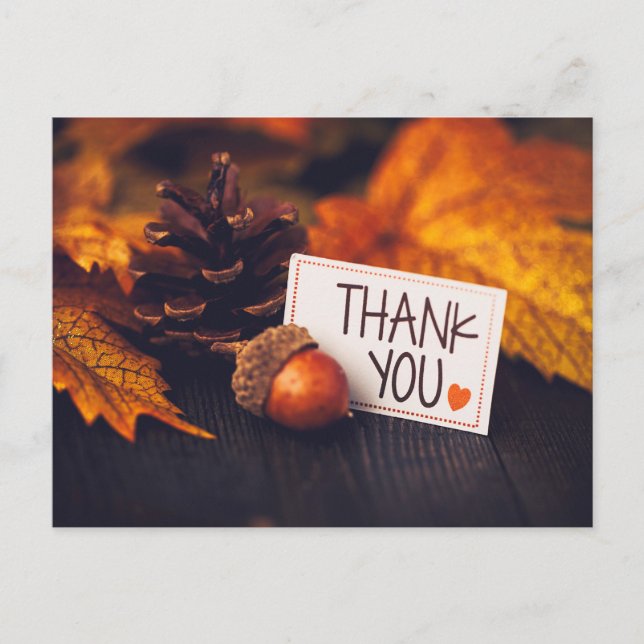 Fall Thanksgiving Photography Pumpkin Photography Postcard (Front)