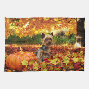 Fall Thanksgiving - Tucker - Yorkie Towel