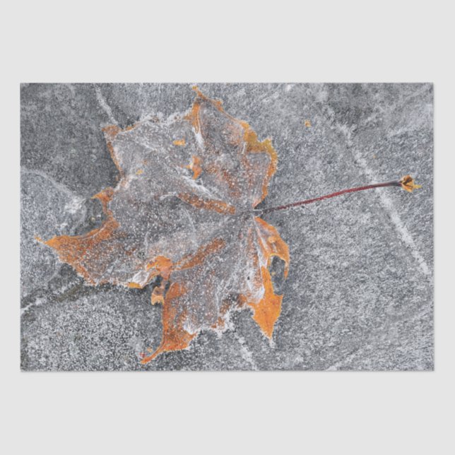 Fall Themed Maple Leaf Orange Gray Autumn Tissue Paper (Front)