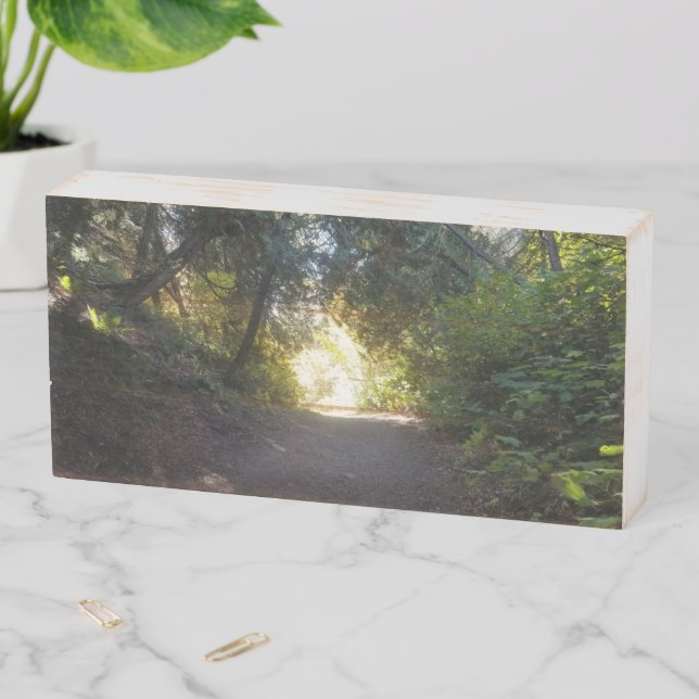 Fall Themed Wooden Box Sign (In Situ Horizontal)