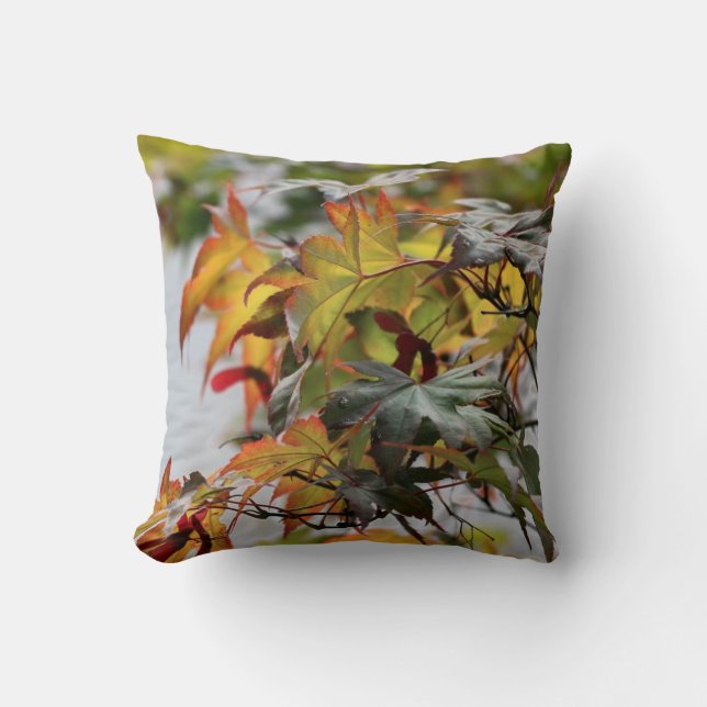 Fall Throw Pillow (Front)