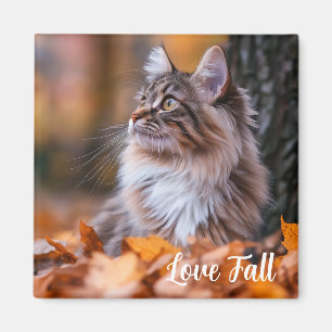 Fall Time Cat Magnet