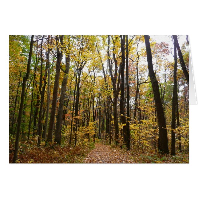 Fall Trail and Golden Leaves at Laurel Hill Park (Front Horizontal)