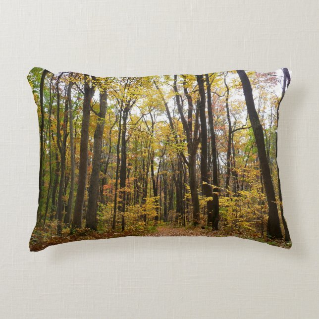 Fall Trail and Golden Leaves at Laurel Hill Park Accent Pillow (Front)