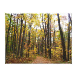 Fall Trail and Golden Leaves at Laurel Hill Park Canvas Print