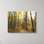 Fall Trail and Golden Leaves at Laurel Hill Park Canvas Print