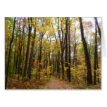 Fall Trail and Golden Leaves at Laurel Hill Park Card