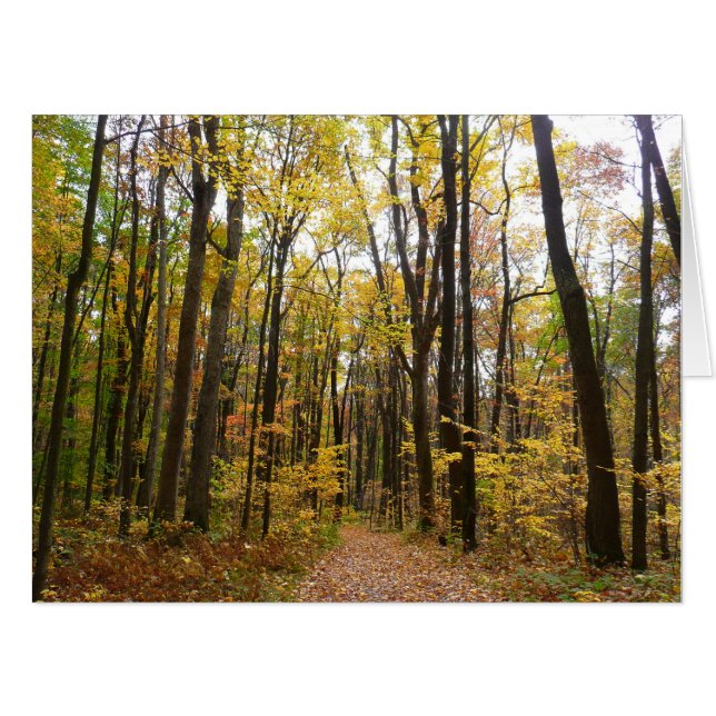 Fall Trail and Golden Leaves at Laurel Hill Park Card (Front Horizontal)