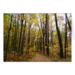 Fall Trail and Golden Leaves at Laurel Hill Park Cards