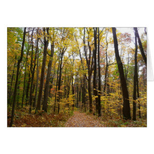 Fall Trail and Golden Leaves at Laurel Hill Park Cards