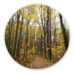 Fall Trail and Golden Leaves at Laurel Hill Park Ceramic Knob