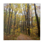 Fall Trail and Golden Leaves at Laurel Hill Park Ceramic Tile