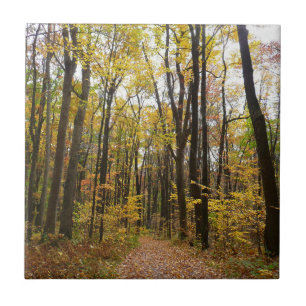 Fall Trail and Golden Leaves at Laurel Hill Park Ceramic Tile