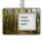 Fall Trail and Golden Leaves at Laurel Hill Park Christmas Ornament