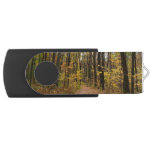 Fall Trail and Golden Leaves at Laurel Hill Park Flash Drive