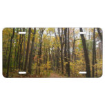 Fall Trail and Golden Leaves at Laurel Hill Park License Plate
