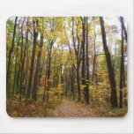 Fall Trail and Golden Leaves at Laurel Hill Park Mouse Pad