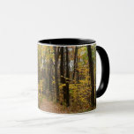 Fall Trail and Golden Leaves at Laurel Hill Park Mug