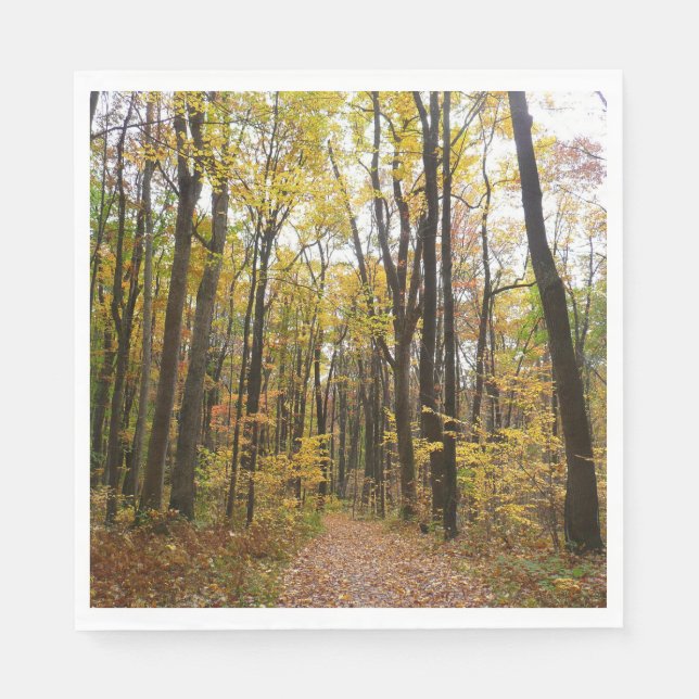 Fall Trail and Golden Leaves at Laurel Hill Park Napkins (Front)