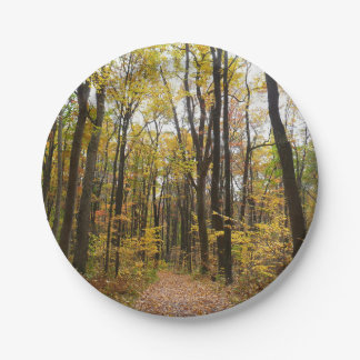 Fall Trail and Golden Leaves at Laurel Hill Park Paper Plates