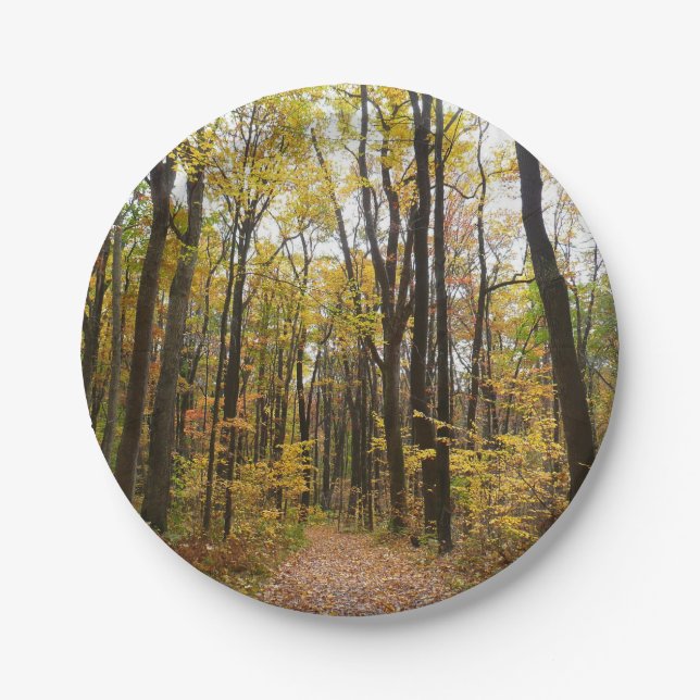 Fall Trail and Golden Leaves at Laurel Hill Park Paper Plates (Front)