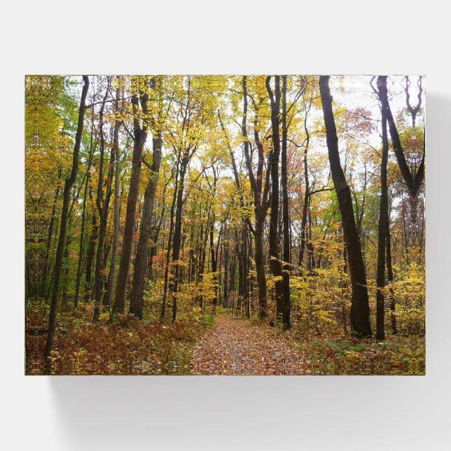 Fall Trail and Golden Leaves at Laurel Hill Park Paperweight (Front)