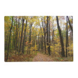 Fall Trail and Golden Leaves at Laurel Hill Park Placemat