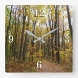 Fall Trail and Golden Leaves at Laurel Hill Park Square Wall Clock
