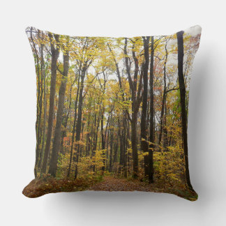 Fall Trail and Golden Leaves at Laurel Hill Park Throw Pillow