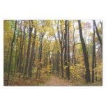 Fall Trail and Golden Leaves at Laurel Hill Park Tissue Paper
