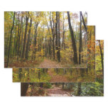 Fall Trail and Golden Leaves at Laurel Hill Park Wrapping Paper Sheets
