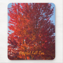 Fall Tree Picture |